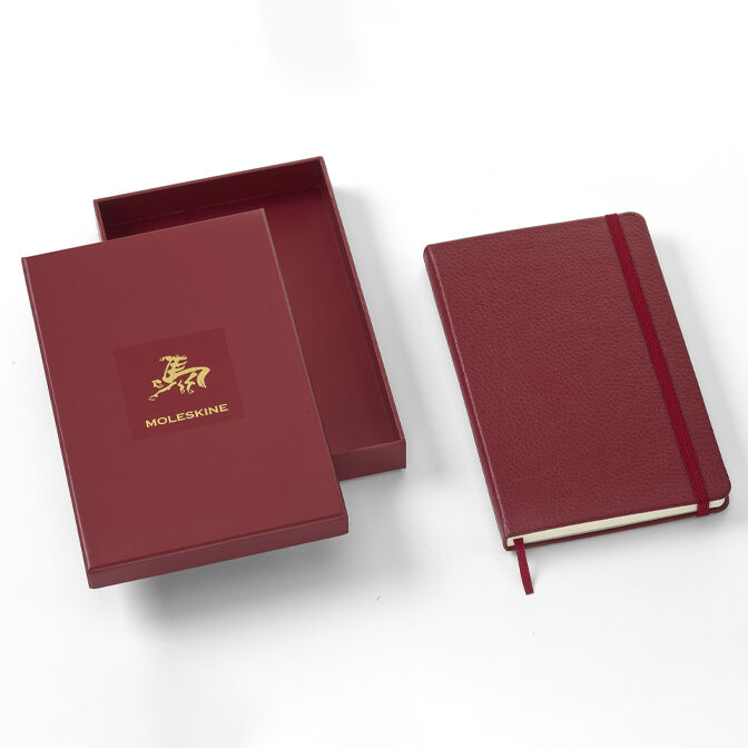 Limited Edition Notebooks: Choose Yours | Moleskine